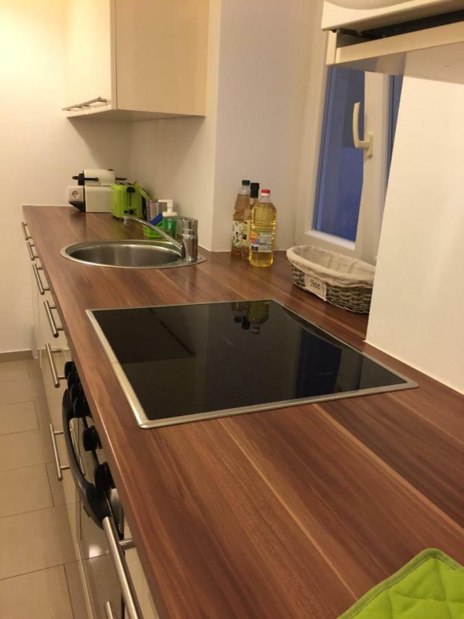Schoenbrunn Apartment 维也纳 外观 照片